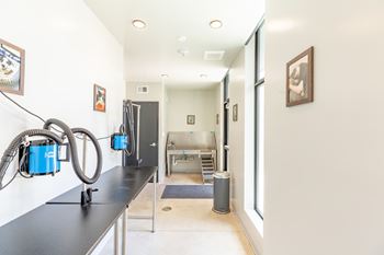 Pet Wash at Rowat Lofts, Des Moines, 50309  